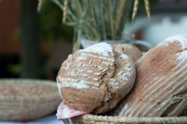 Biohof Mayer Bauernbrot