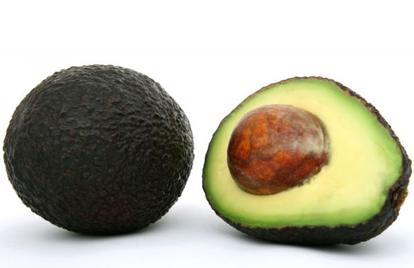 Avocado Hass