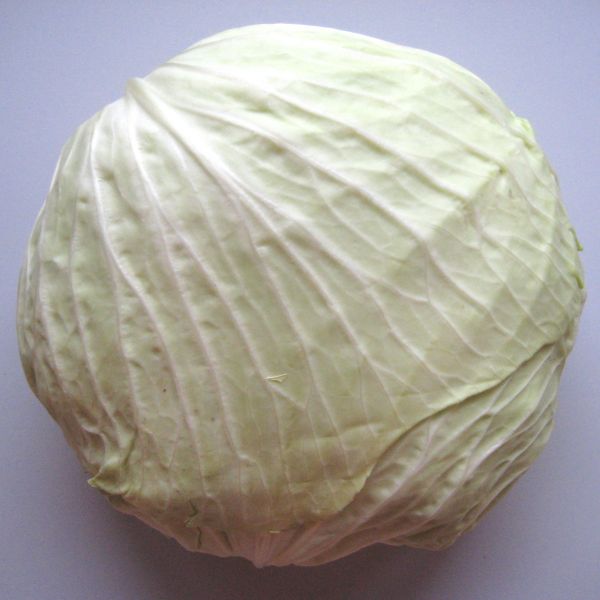 Braunschweigerkraut ca. 1 kg