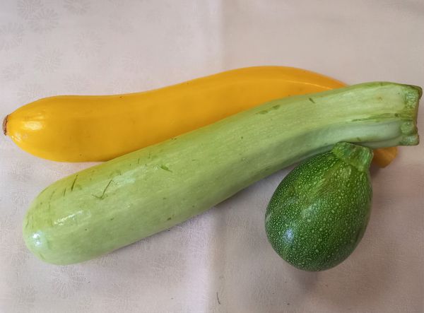 Zucchini, bunte Vielfalt