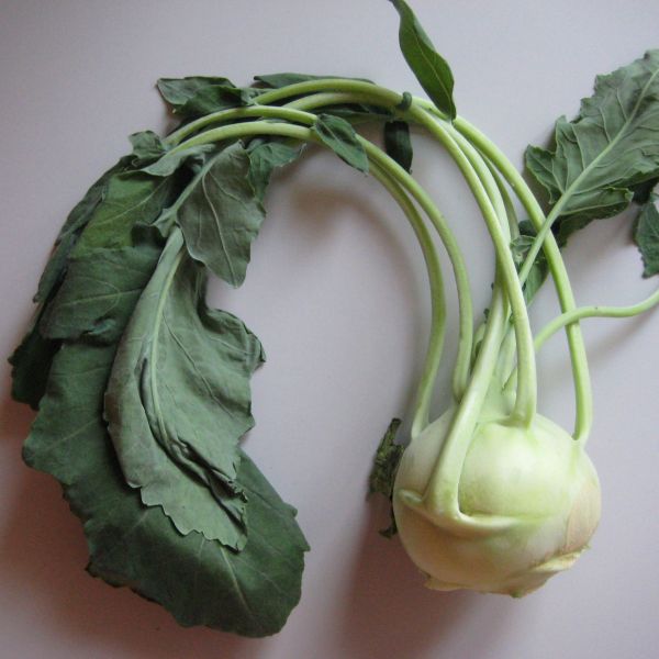 Kohlrabi, ca 280g