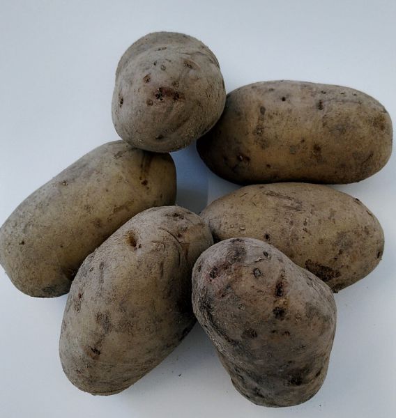 Ofenkartoffeln