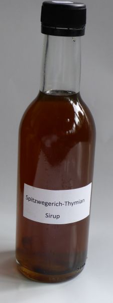 Spitzwegerich-Thymian Sirup