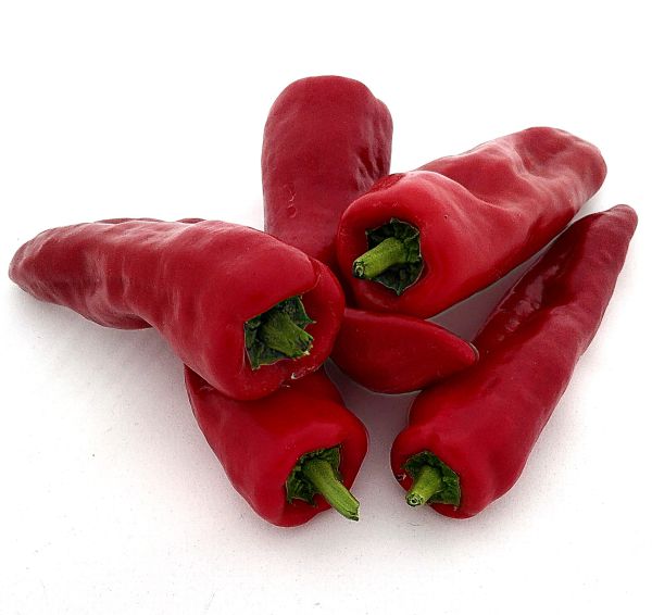 Pimentos rot (herzförmige Chilischoten)