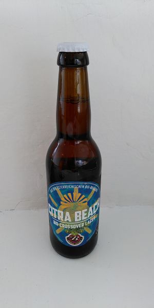 Citra Beach Sommerbier