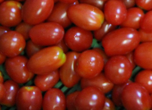 Cocktailtomaten 250g