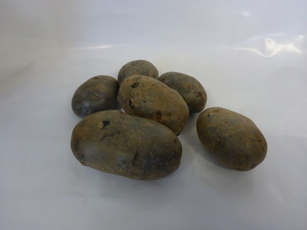 Erdäpfel violett
