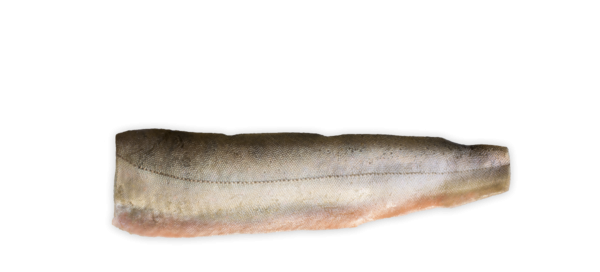 Gebirgssaibling - Filet, natur (Bestellung bis 23.5. - Lieferung am 2.6.23)