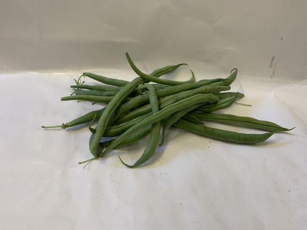 Fisolen