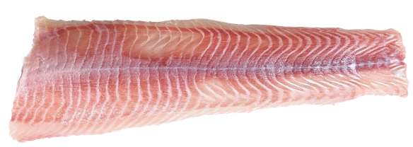 Steirer Wels - Filet, natur (Bestellung bis 28.3. - Lieferung am Karfreitag, 7.4.23)