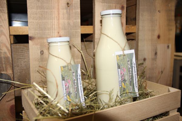 Kuhmilch