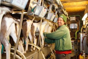 Mischpaket Kitzfleisch (Vorbestellung bis 28.3.- Lieferung am 7.4. - Karfreitag!)