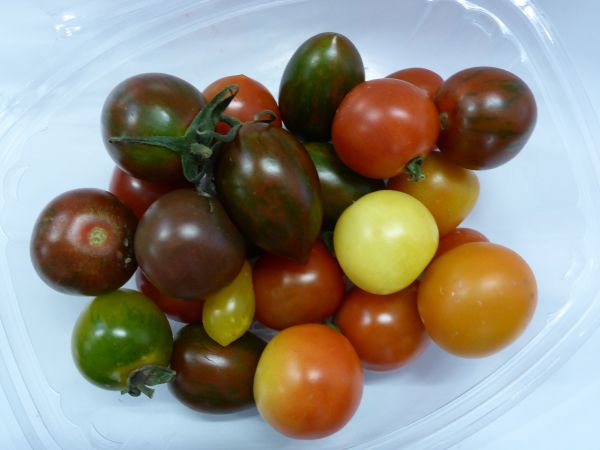 Tomaten gemischt im Becher