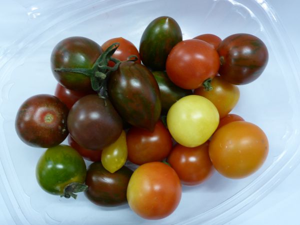 Tomaten im Becher, Cocktail, Raritäten