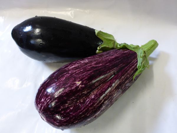 Melanzani