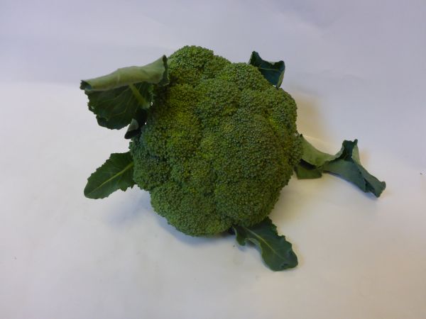 Brokkoli (geringe Menge)