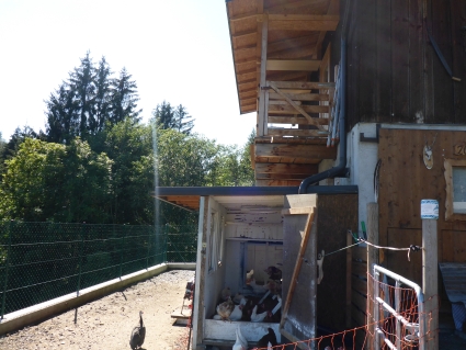 P1020198DhMzzYwuFB3vg