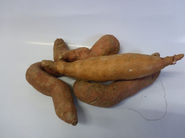 Süßkartoffel