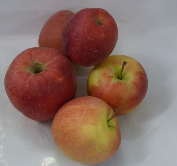 Äpfel Topaz | Heimische Früchte | Obst | Gemüse &amp; Obst | COOPingzau