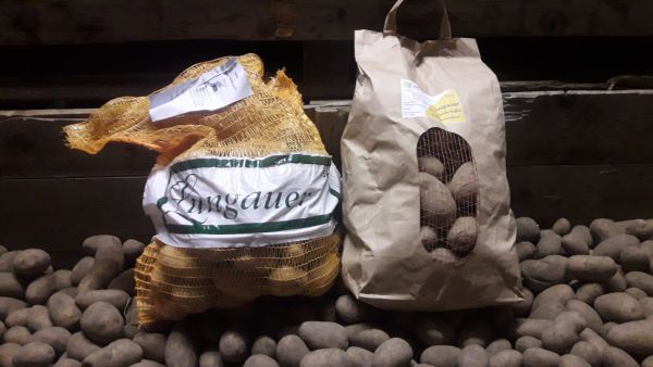 Lungauer Eachtling_Ditta (weiße Schale),, festkochend (Vorbestellung bis 21.11., Abholung am 28.11.)