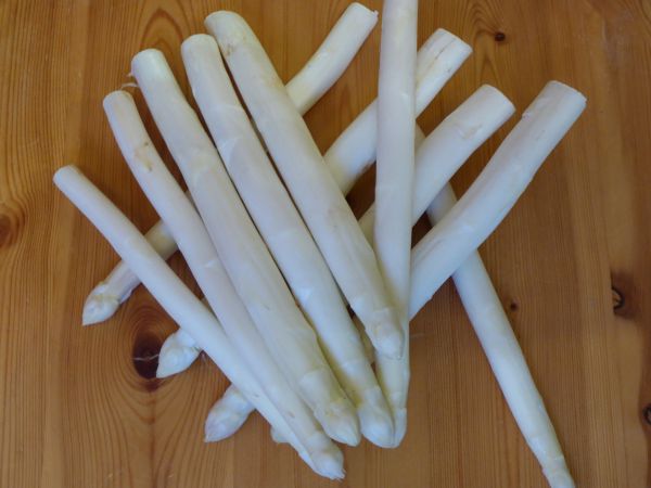 Spargel weiß