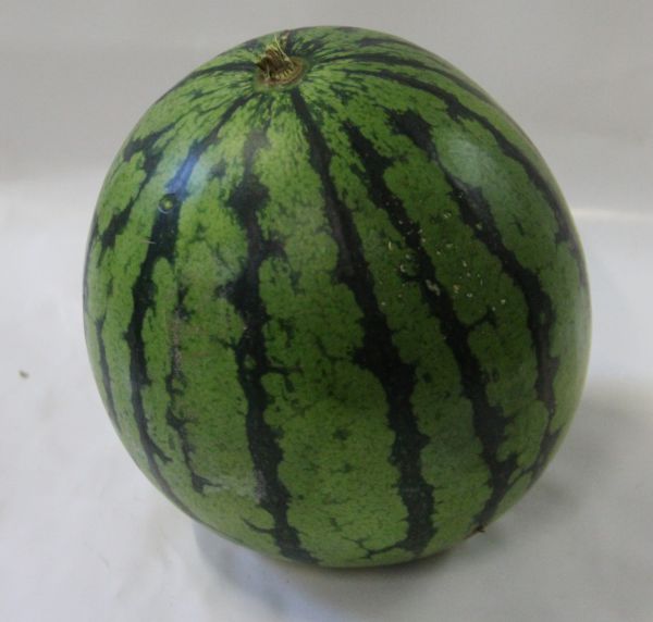 Wassermelone