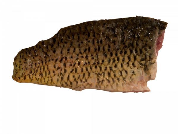 Steirer Karpfen - Filet, natur geschröpft (Bestellung bis 28.3. - Lieferung am Karfreitag, 7.4.23)