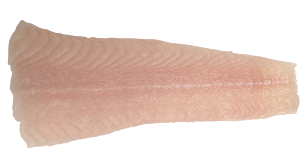 Steirer Waller - Filet, natur (Bestellung bis 26.09. - Lieferung am 06.10.23)
