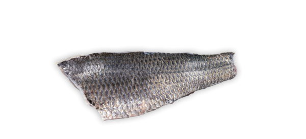 Steirer Branzino - Filet, natur (Bestellung bis 26.09. - Lieferung am 06.10.23)