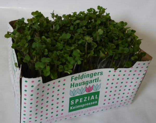 Sprossen Mix
