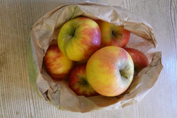 Apfel Sorte Topaz