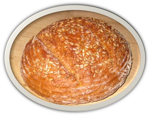 Sonnenblumenbrot bio