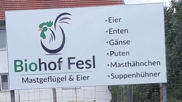 Ente 2,5 - 4 kg tiefgefroren ( alle zwei Wochen)