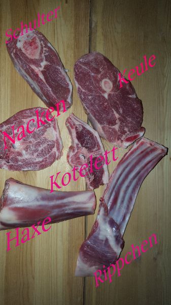 Lammfleisch (auf Vorbestellung)