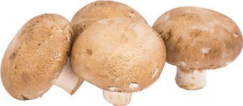 Steinchampignons