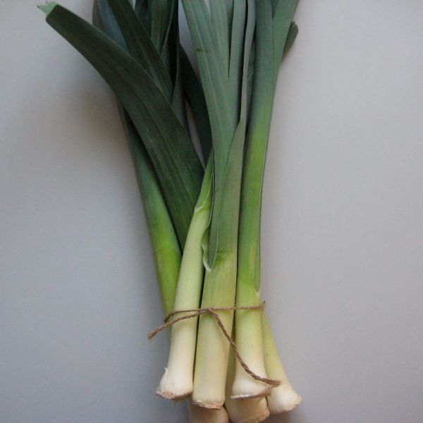 Lauch (3,70 €/kg)
