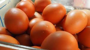 Eier