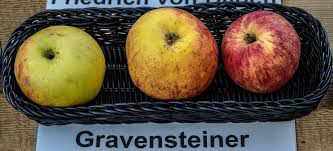Äpfel Gravensteiner 5 kg Mehrwegkiste