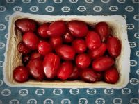 Bio Dirndln (Kornelkirschen) aus Anna Paradeisers Garten