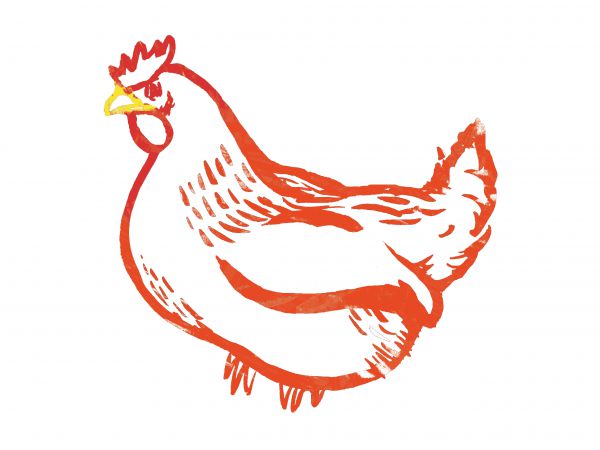 Hühnerflügerl mariniert (17,30 €/kg)