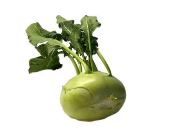 Bio Kohlrabi