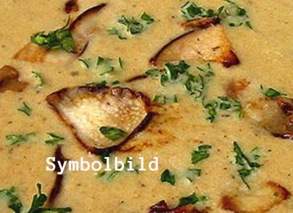 Bio Steinpilzsuppe (2 Portionen)