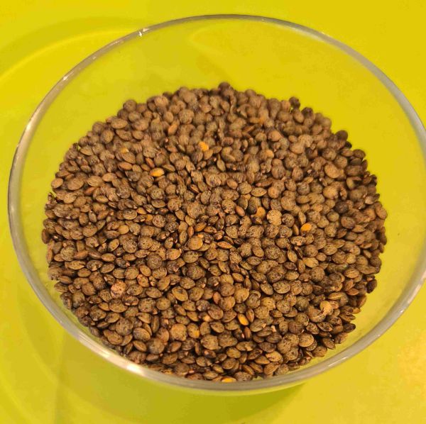 Bio Berglinsen