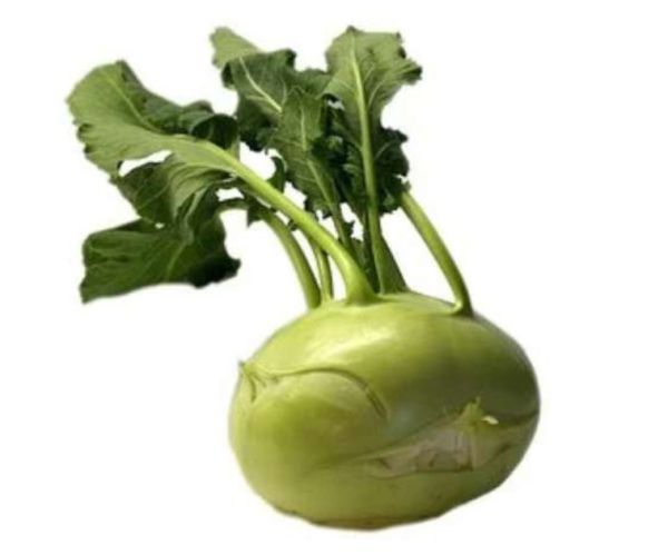 Bio Kohlrabi