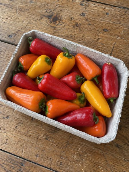 Snackpaprika färbig