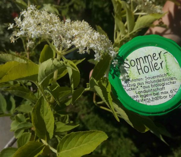 Bio Sommerholler