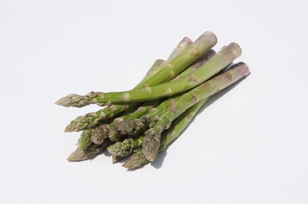 Bio Spargel Solo grün