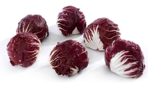 Bio Radicchio