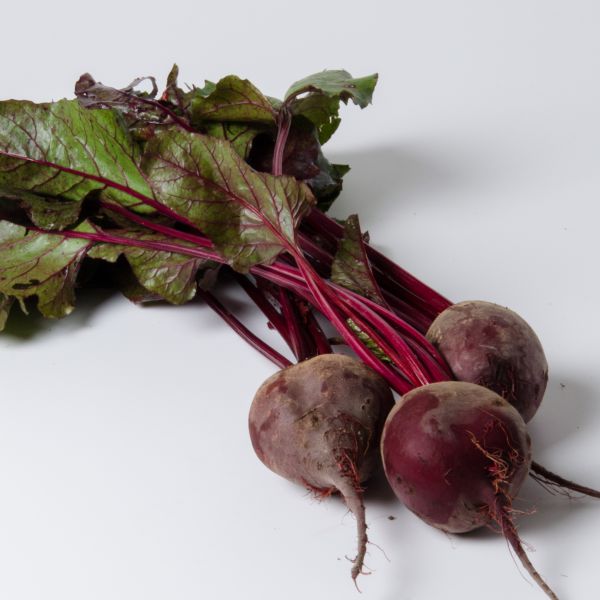 Bio Rote Rüben mit Grün - NEU!