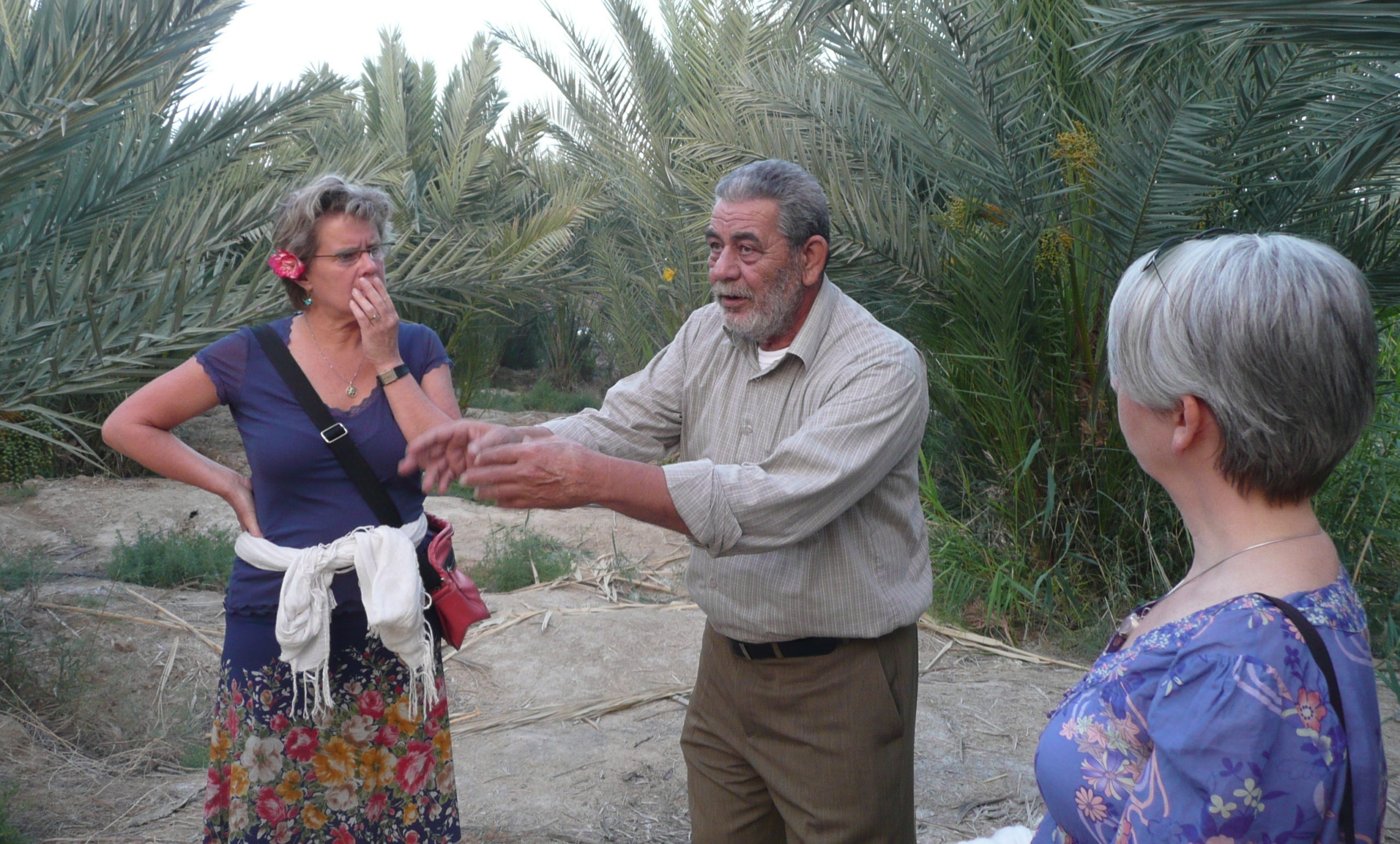 Adop-a-palm-projekt-1
